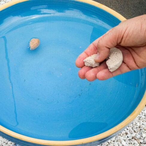 Insect Mosquito Dunk 6PK in Saudi Arabia