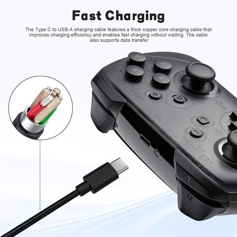 Zosvoses Type C Controller Cable Compatible with Nintendo Switch, Switch Lite, Switch OLED, Switch Pro, PS5 Dualsense, DualSense Edge, Elite Series 2 Controller, 10ft in Saudi Arabia