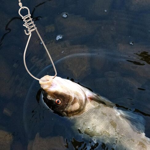 BESPORTBLE 10Pcs Fishing Stringer: Fish Lock Knot, Stainless Steel Fish Stringer Clip, Heavy Duty Wire Rope Lock Cable for Outdoor Fishing in Saudi Arabia