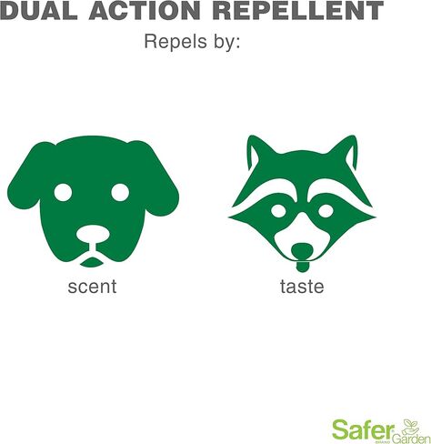 Safer Garden Animal Repellent Ready-to-Use Spray – Dual-Action Formula Repels Birds, Cats, Deer, Dogs, Groundhogs, Rabbits, Raccoons, Skunks & Squirrels – Protects up to 375 Sq Ft - SG3145, 24 fl oz in Saudi Arabia