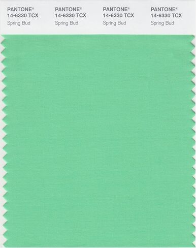 PANTONE SMART 14-6308X Color Swatch Card, Alfalfa in Kuwait