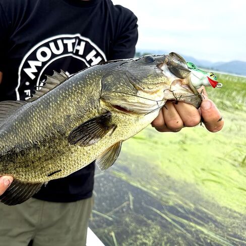 ضفدع Ol’ Slumpy™ Topwater (عبوتان) in Saudi Arabia