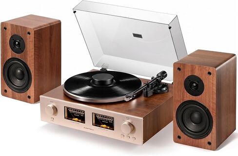 Qlearsoul HiFire X Vinyl Record Player System with 100W Speakers & Record Weight Stabilizer, Black Aluminum in Saudi Arabia