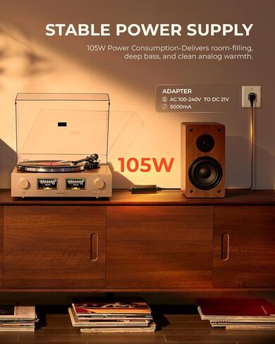 Qlearsoul HiFire X Vinyl Record Player System with 100W Speakers & Record Weight Stabilizer, Black Aluminum in Saudi Arabia