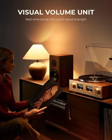 Qlearsoul HiFire X Vinyl Record Player System with 100W Speakers & Record Weight Stabilizer, Black Aluminum in Saudi Arabia