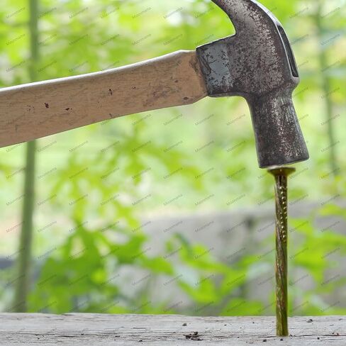 12" Metal Nails, (30 cm) Threaded Galvanized Long Pegs for Paving, Weeds, Lawn, Camping, Building, Carpenter Pegs, Tents, Anchor Pegs, Garden, Clips, 20pcs in Saudi Arabia