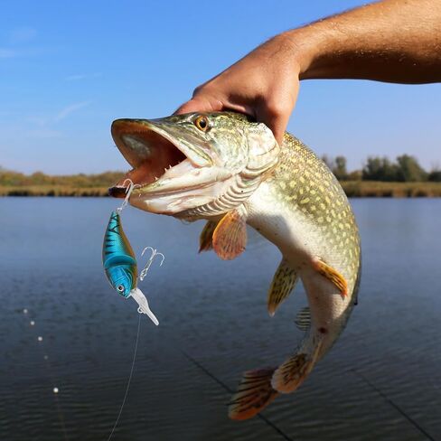 Lifelike Fishing Lures, Segmented Swimbait Jointed Fishing Hard Bait, Swimbait for Bass, Crankbait Hard Baits for Bass Trout Crappie Walleye Pike Salmon Freshwater and Saltwater in Saudi Arabia