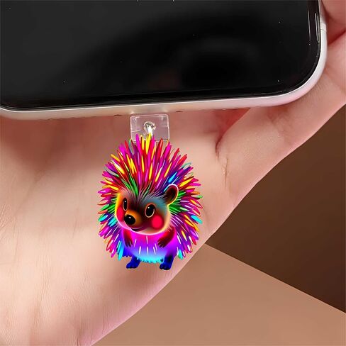 Neon Rainbow Hedgehog Dust Plug Acrylic Charms for electronic products,Type-C Charging Port Dust Plugs Pendant Compatible with E-Reader Phone Tablet, Gift for Christmas, Birthday, Anniversary Day in Saudi Arabia