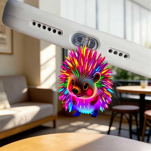 Neon Rainbow Hedgehog Dust Plug Acrylic Charms for electronic products,Type-C Charging Port Dust Plugs Pendant Compatible with E-Reader Phone Tablet, Gift for Christmas, Birthday, Anniversary Day in Saudi Arabia