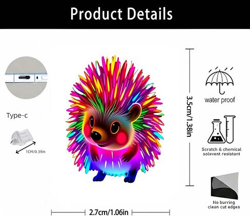Neon Rainbow Hedgehog Dust Plug Acrylic Charms for electronic products,Type-C Charging Port Dust Plugs Pendant Compatible with E-Reader Phone Tablet, Gift for Christmas, Birthday, Anniversary Day in Saudi Arabia