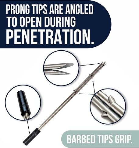 ELLUKAR 3 Prong Paralyzer Tip لعمود الرمح الفولاذ المقاوم للصدأ رأس M8 أنثى خيط صيد الأسماك بالرمح ملحق لنظام ORCA لصيد الشعاب المرجانية الصغيرة والأسماك السريعة المتينة القابلة للاستبدال in Kuwait