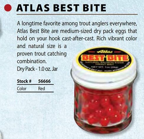 Atlas Mike's Best Bite Salmon Fishing Bait Eggs, Red in Saudi Arabia