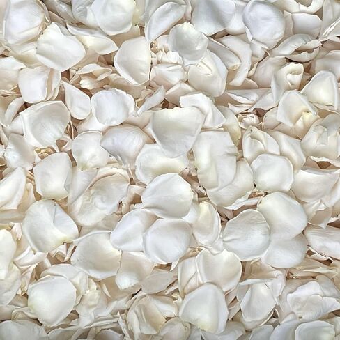 Rose Petals for Wedding Decoration, Bridal Toss, and Aisles, 10 cups, Freeze Dried, Use within 1 month (Yellow) in Saudi Arabia