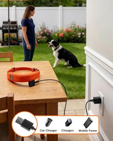محول شحن بديل مع كابل متوافق مع Halo Collar 4 5 Dog Fence، USB in Kuwait