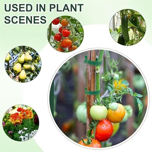 100-Pack Heavy Duty Nylon Plant Ties – 7.87 Inch Reusable Hook & Loop Garden Cable Straps, Adjustable Green Vine Support for Tomatoes, Roses, Ivy & Climbing Plants in Saudi Arabia