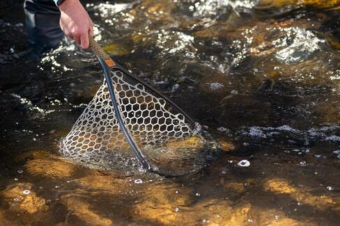 Fishpond Nomad Yampa Hand Fly Fishing Net 2.0 -Brown Trout in Saudi Arabia
