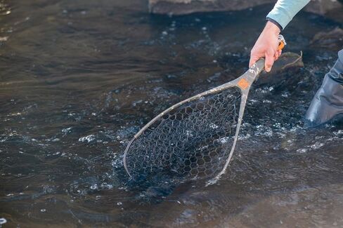 Fishpond Nomad Yampa Hand Fly Fishing Net 2.0- Shadowcast Camo in Saudi Arabia