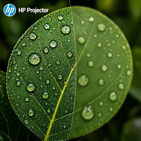 جهاز عرض HP MC450 الذكي الصغير المحمول مع WiFi وBluetooth، وتطبيقات مرخصة رسميًا، وجهاز عرض قصير المدى مع دعم 4K، والتحكم الصوتي، ومنفذ USB-C، وجهاز عرض أفلام لغرفة النوم والخارج in Kuwait