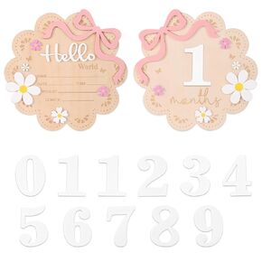2pcs Baby Girl Monthly Milestone & Hello World Announcement Signs Set, Double-Sided Wooden 1-12 Months Newborn Milestone Markers with Floral Design Newborn Growth Photography Props & Nursery Decor in Kuwait