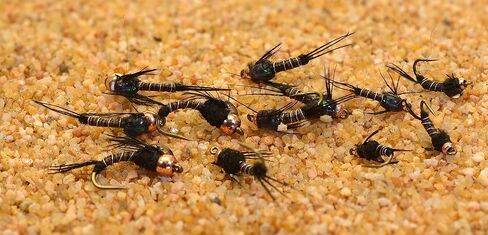 12 Flies - Bead Head Black Micro Mayfly Nymph Fishing Fly - Mustad Signature Fly Hooks in Saudi Arabia