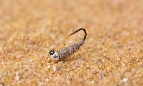 Tungsten Walt's NOT AS Sexy Worm Jig Head Fly - Euro Nymph Tied on Hanak Hooks - 6ct Packs in Saudi Arabia
