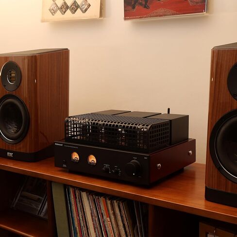 Nobsound Tube Power Bluetooth Amplifier: HiFi Valve with Dual VU Meters USB U-Disk Playback RCA in for Bookshelf Speakers | 6P1 6N1 EI Transformer | Home Audio (DA7) in Saudi Arabia