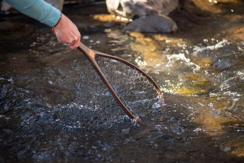 Fishpond Nomad Yampa Hand Fly Fishing Net 2.0 -River Armor in Saudi Arabia