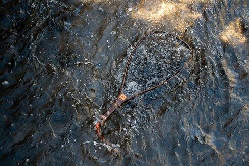 Fishpond Nomad Yampa Hand Fly Fishing Net 2.0 -River Armor in Saudi Arabia