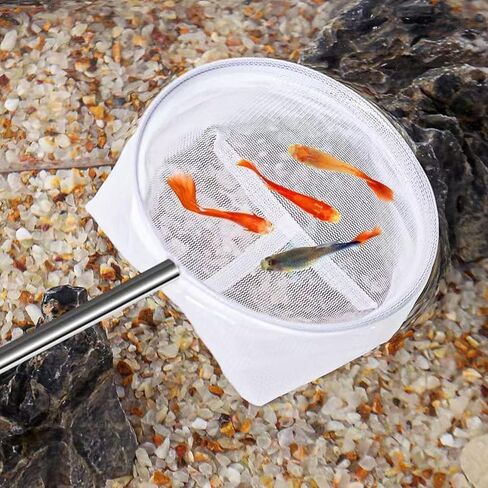 Fishing Landing Net with Telescoping Handle, Fishing Landing Net Freshwater, Bass, Trout Net, Compact Fishing Net for Catching Fish Shrimp and Aquariums Water Plant in Saudi Arabia
