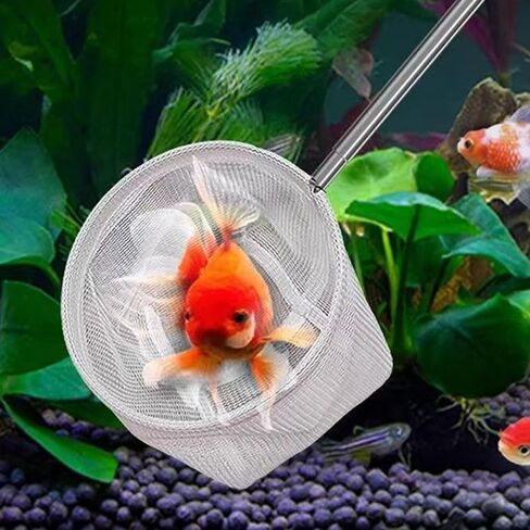 Fishing Landing Net with Telescoping Handle, Fishing Landing Net Freshwater, Bass, Trout Net, Compact Fishing Net for Catching Fish Shrimp and Aquariums Water Plant in Saudi Arabia