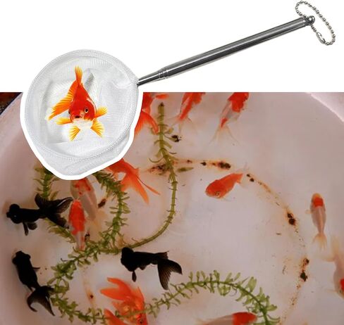 Fishing Landing Net with Telescoping Handle, Fishing Landing Net Freshwater, Bass, Trout Net, Compact Fishing Net for Catching Fish Shrimp and Aquariums Water Plant in Saudi Arabia