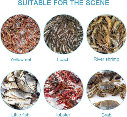 Toddmomy Portable EEL Catching Cage Crab Trap Shrimp Lobster Fishing Basket 14.05X14.05X4.33In Lightweight Mesh Net for Outdoor Seafood Hunting in Saudi Arabia