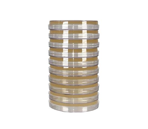Tryptic Soy Agar (TSA), with Typtone & Soytone, General Growth Medium, (10-Pack), Pre-Poured 15x100mm Petri Plates in Saudi Arabia