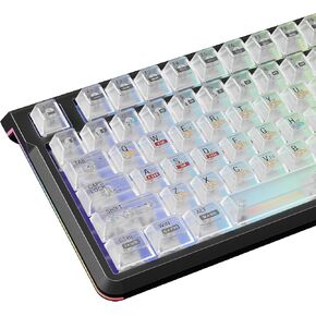 118 Black Clear Keycaps for RGB Mechanical Keyboard,5-Side Full Frosted Transparent Cherry Profile Key Caps Set (NO Slip & NO Fingerprint),Backlit Shine Through Keycaps-All Layout 60 65 75 100 Percent in Saudi Arabia