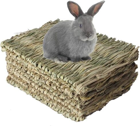 kathosn 8 PCS Bunny Grass Mat Natural Woven Pet Bed Nest Mats Rabbits Chew Toys for Hamsters Parrot Rabbits Hedgehog Guinea Pig Bunny and Other Small Animals in Saudi Arabia