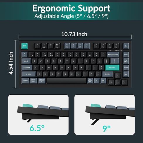Keychron B31 Wireless Silent Keyboard, 75% Layout Quiet Typing Custom Programmable, 2.4 GHz/Bluetooth/Wired Ergonomic Support Compatible for Mac Windows Linux - Deep Black in Saudi Arabia