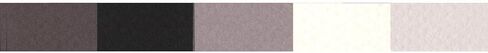 Canson Mi-Teintes Drawing Sheets, 19 x 25 Inches, Gray Tones, 10 Sheets in Saudi Arabia