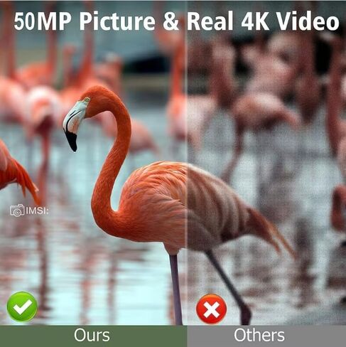 كاميرا SuntekCam Mini Solar Trail 50 ميجابكسل 4K، كاميرا صيد مع رؤية ليلية تعمل بحركة IP65 مقاومة للماء، كاميرات مسار الألعاب مع مصابيح LED بالأشعة تحت الحمراء الشفافة in Kuwait