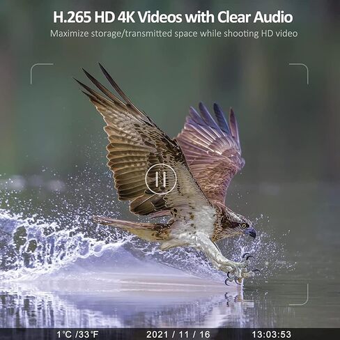 كاميرا SuntekCam Mini Solar Trail 50 ميجابكسل 4K، كاميرا صيد مع رؤية ليلية تعمل بحركة IP65 مقاومة للماء، كاميرات مسار الألعاب مع مصابيح LED بالأشعة تحت الحمراء الشفافة in Kuwait