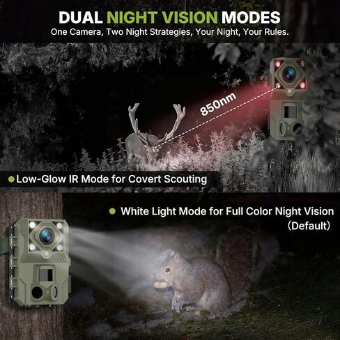 كاميرا WOSPORTS Night Full Color Trail، كاميرا لعبة Trigger 5K 60MP 0.1s مع 100 قدم واضحة، وضع مزدوج (الأشعة تحت الحمراء منخفضة التوهج والضوء الأبيض)، كاميرا IP66 لمراقبة الحياة البرية وأمنها، فيديو H.264 MP4 in Kuwait