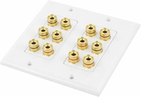 DIYTECH 6 Speaker Wall Plate, Home Theater Wall Plate, Gold Plated Binding Posts, for Home Theater Setup in Saudi Arabia