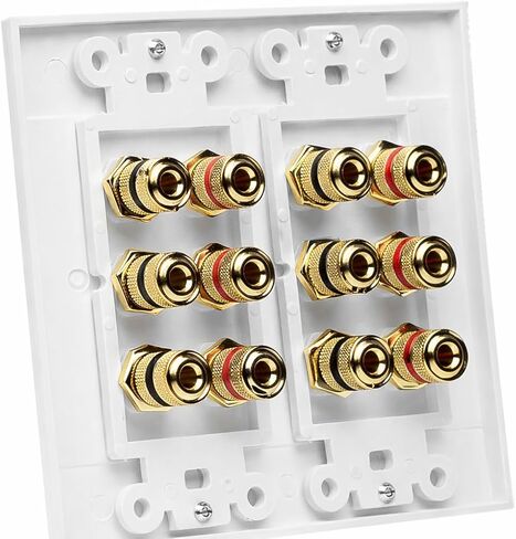 DIYTECH 6 Speaker Wall Plate, Home Theater Wall Plate, Gold Plated Binding Posts, for Home Theater Setup in Saudi Arabia