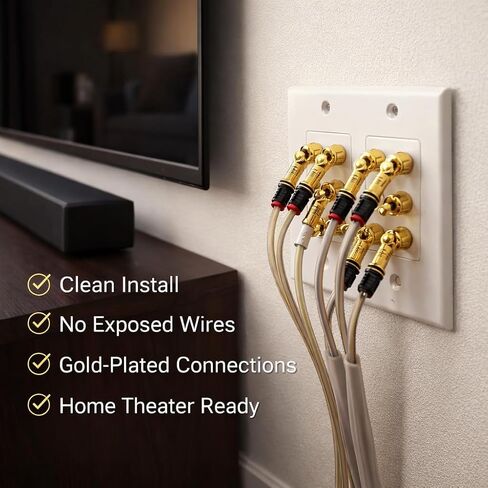 DIYTECH 6 Speaker Wall Plate, Home Theater Wall Plate, Gold Plated Binding Posts, for Home Theater Setup in Saudi Arabia