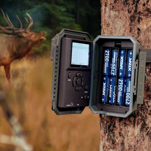 XTAR 16-Pack 1.5V AA Rechargeable Batteries for Professional Trail Camera Setup, 4300mWh High Capacity, -20°C Cold Weather Gear, 1.5V Constant Output for Game Camera Fleet in Saudi Arabia