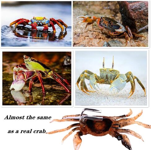 5 Pcs 3 Colors Simulation Fishing Lures Baits, 3D Simulated Crab Soft Bait Kit, Built-in Lead Blocks Sinking Slowly Fishing Bait for Freshwater, Saltwater NEW in Saudi Arabia