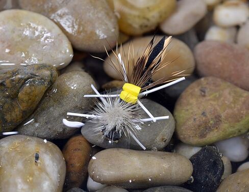 12 Flies | Foam Hopper Terrestrial Fishing Flies | Yellow and Tan Color | Mustad Signature Fly Hooks in Saudi Arabia