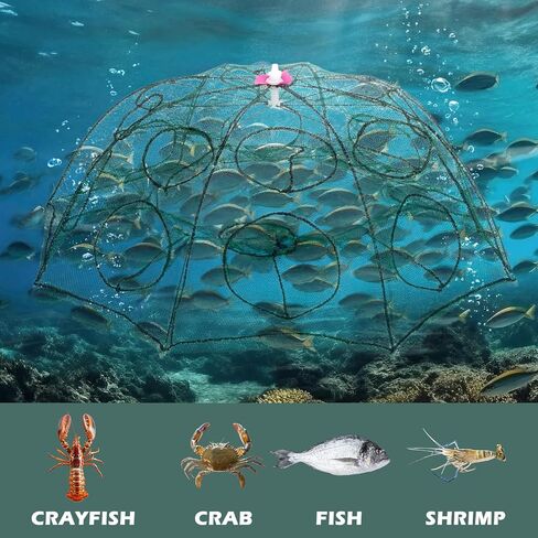 2 Pack Crawfish Traps 8-Sided 16-Entrance Fishing Net Foldable Fishing Bait Trap Cast Net Cage with Pull Rope, Bait Bag & Floating Ring for Catching Minnow Fish Crayfish Shrimp Crab Lobster in Saudi Arabia