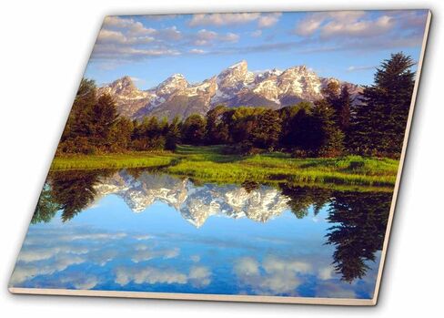 3dRose من الولايات المتحدة الأمريكية ، تيشيرت مطبوع عليه Wyoming ، Grand Teton NP. Grand tetons تعكس في شكل ثعبان River. بلاط السيراميك – ، 15.24 سم (ct _ _ _ _ _ _ _ _ سم 205650 2) in Kuwait