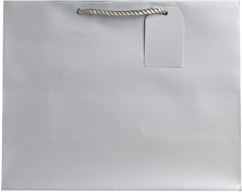 JILLSON & ROBERTS 6-Count Large 12.5" x 10" x 5" Gift Bags Available in 12 Solid Colors, Green Matte in Saudi Arabia