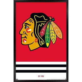 Trends International NHL Chicago Blackhawks - Logo 21 Wall Poster, 22.375" x 34", Barnwood Framed Version